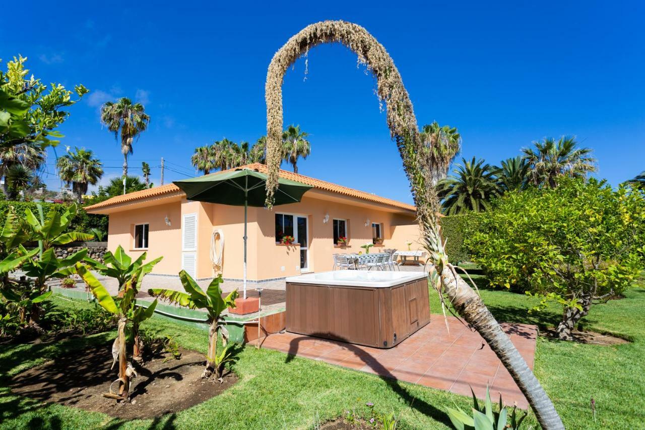La Gaviota - Limoneros Holiday home Icod De Los Vinos