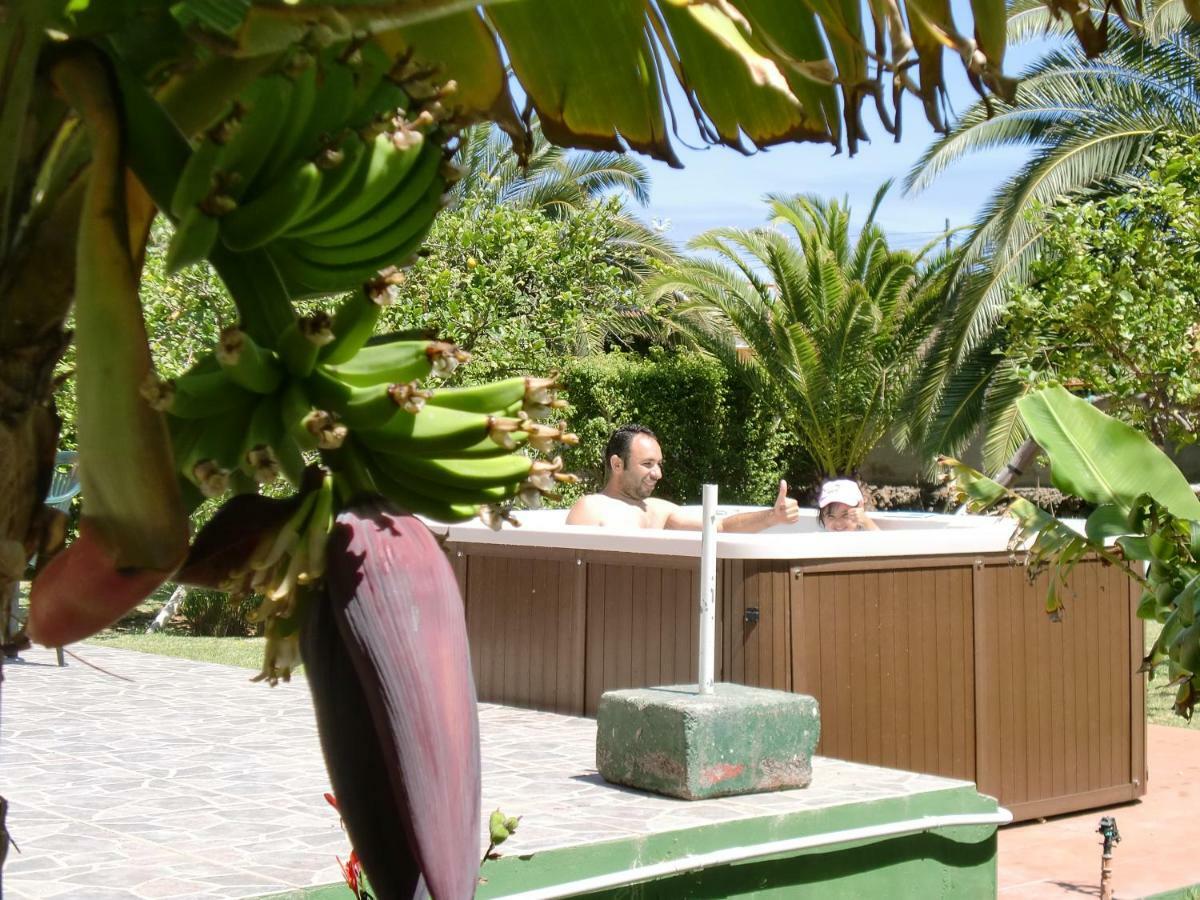 La Gaviota - Limoneros Hébergement de vacances